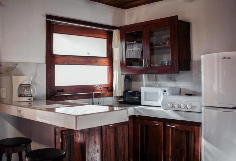 Standardzimmer mit Poolblick, Chocolate