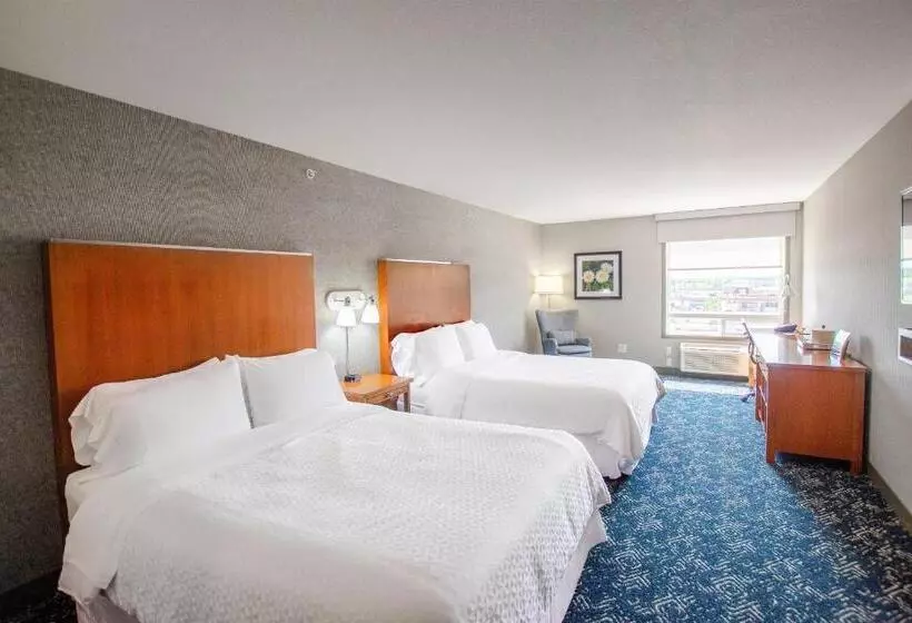 スタンダードルーム, Four Points By Sheraton Saskatoon