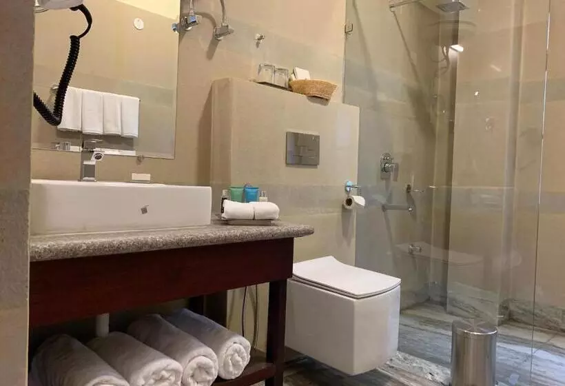 Chambre Deluxe, The Aryan Regency