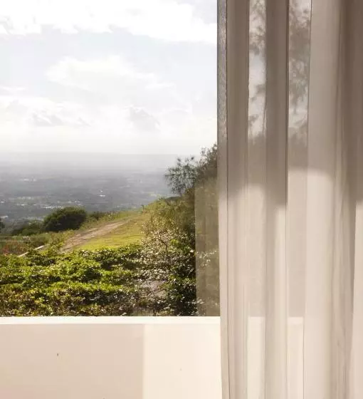 اتاق لوکس, Camp David Ranch