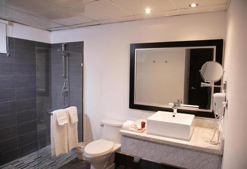 سوییت جونیور لوکس, Camp David Ranch