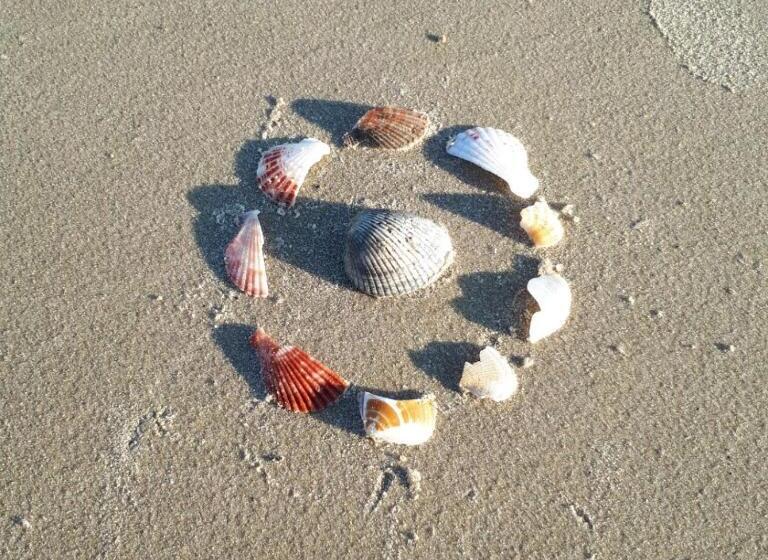 استودیو خانوادگی, Căn Hộ Mũi Né Sea Link