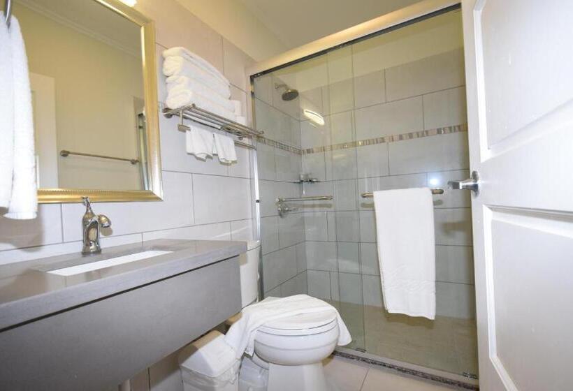 آپارتمان 1 خوابه با چشمانداز استخر, Arena Condos Aruba Few Steps From Eagle Beach!