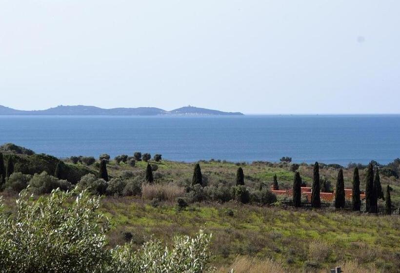 Номер Стандарт с Балконом, Agriturismo Poggio All Olivo