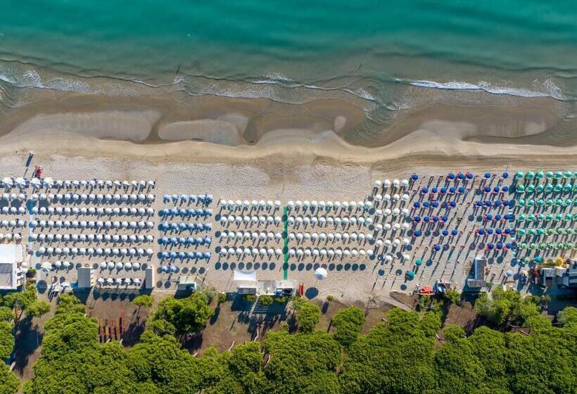 スタンダードルーム, La Pineta