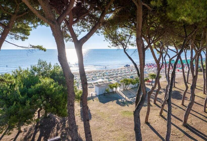 スタンダード４人部屋, La Pineta