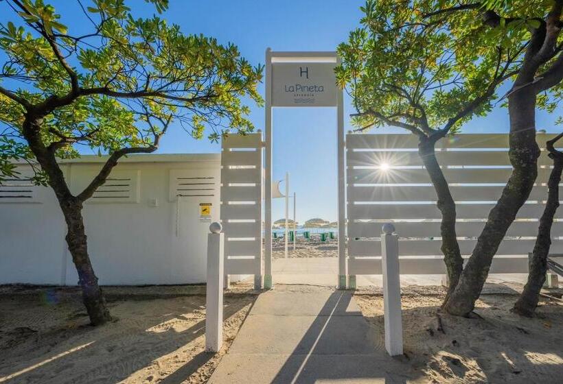 スタンダード４人部屋, La Pineta