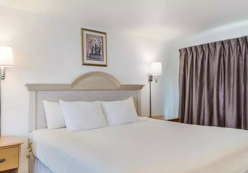 キングサイズベッドのスタンダードルーム, America S Best Value Inn & Suites/hyannis