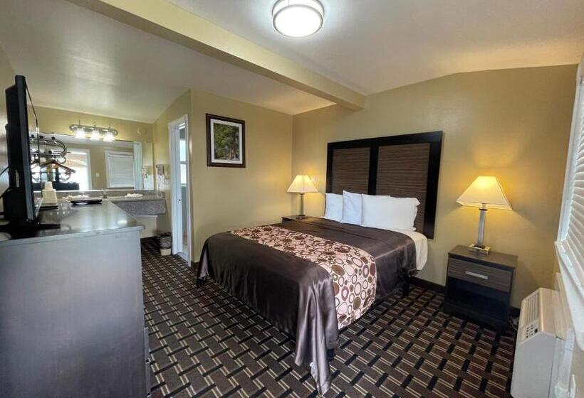 חדר סטנדרט, Beverly Lodge