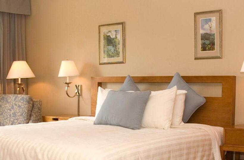 اتاق لوکس, Cara Hotels Trinidad