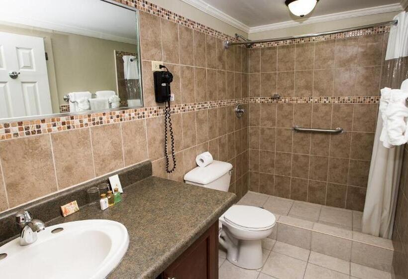 اتاق لوکس, Cara Hotels Trinidad