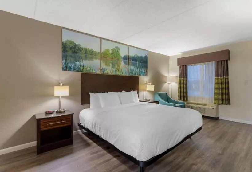 身障者適用キングサイズベッドルーム, Clarion Pointe Kimball By Choice Hotels
