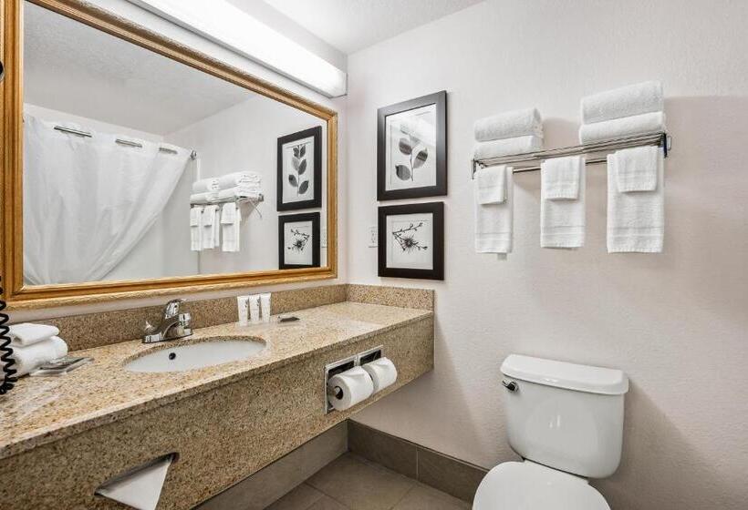 إستوديو قياسى سرير كينج, Country Inn & Suites By Radisson, Port Canaveral, Fl