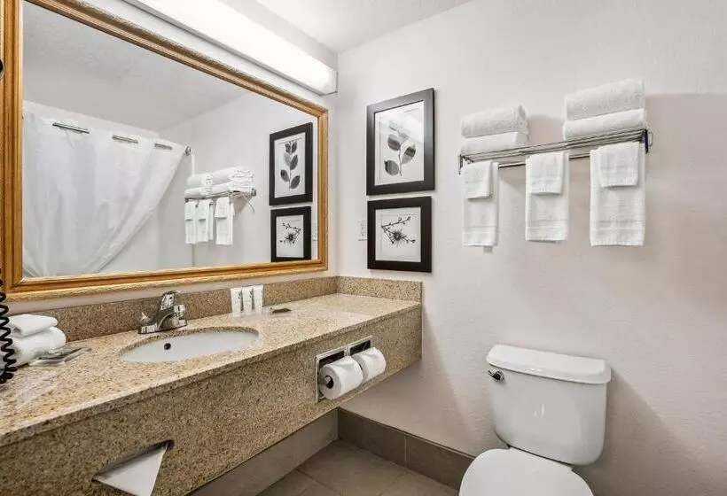 キングサイドベッドのスタンダードワンルーム, Country Inn & Suites By Radisson, Port Canaveral, Fl