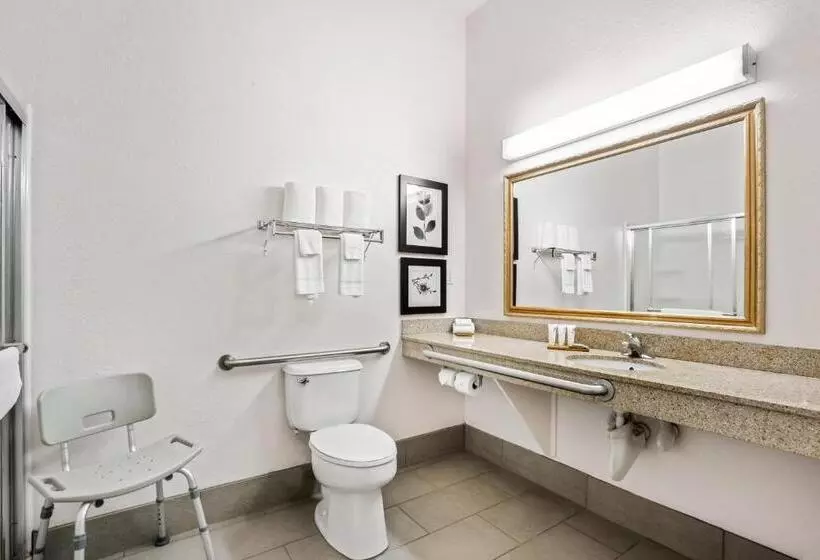 キングサイズベッドのスタンダードルーム, Country Inn & Suites By Radisson, Port Canaveral, Fl