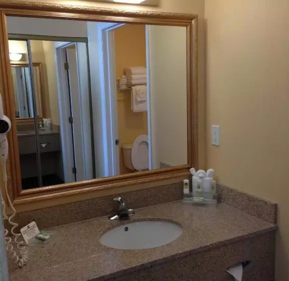 身障者適用キングサイズベッドルーム, Country Inn & Suites By Radisson, Port Canaveral, Fl