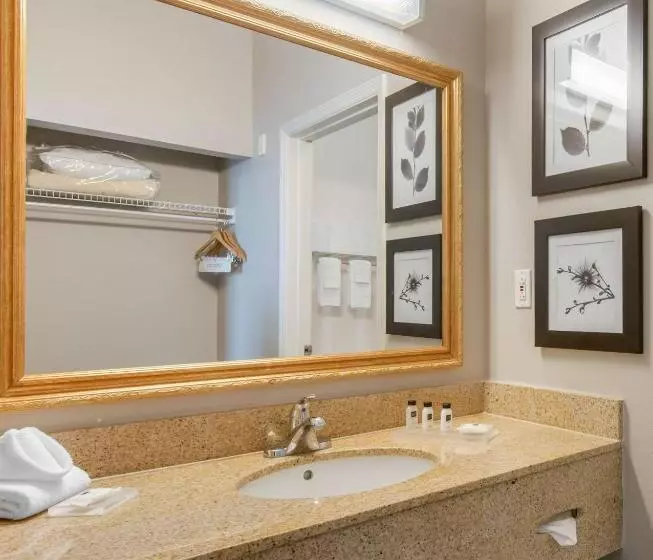 ハイドロマッサージバス付きスイート, Country Inn & Suites By Radisson, Port Canaveral, Fl
