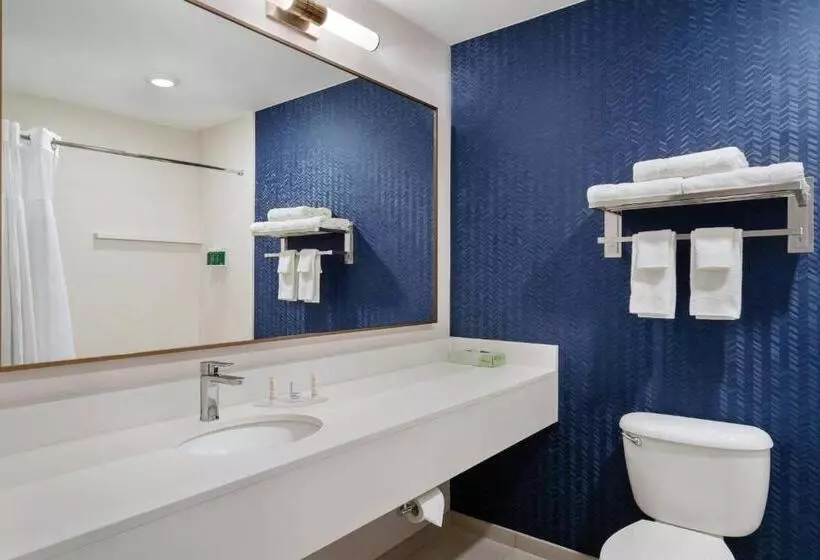 キングサイズベッドのスタンダードルーム, Fairfield Inn Scranton