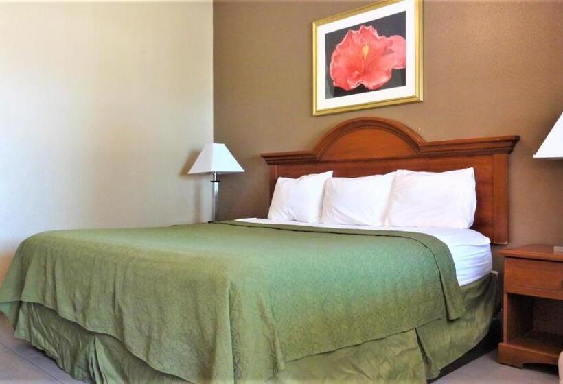 스탠다드 룸 킹사이즈 침대, La Copa Inn