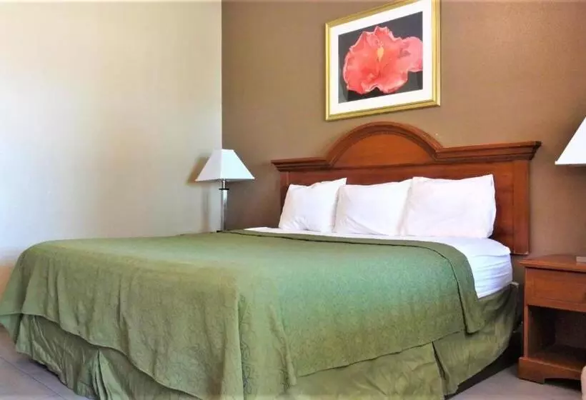 اتاق لوکس با تخت بزرگ, La Copa Inn