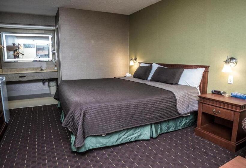 Standard Room King Size Bed