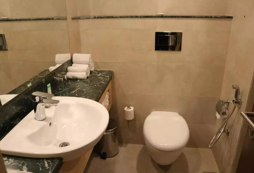 اتاق استاندارد, Radisson Srinagar