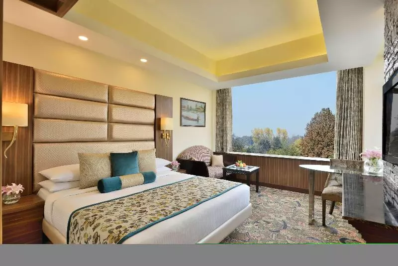 اتاق کلاس بیزنس, Radisson Srinagar