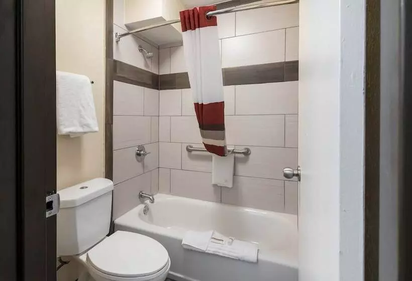 スーペリアールーム, Red Roof Inn Wilmington, Nc