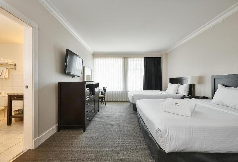 스탠다드 룸, Rialto