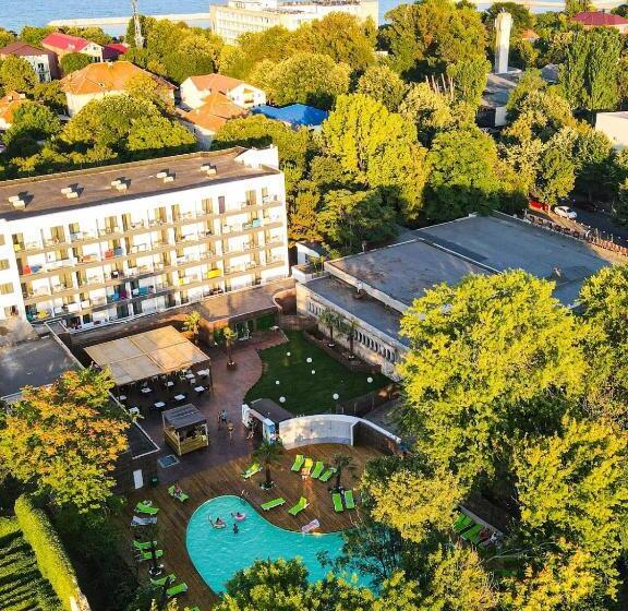 스탠다드 룸, Mojo Resort