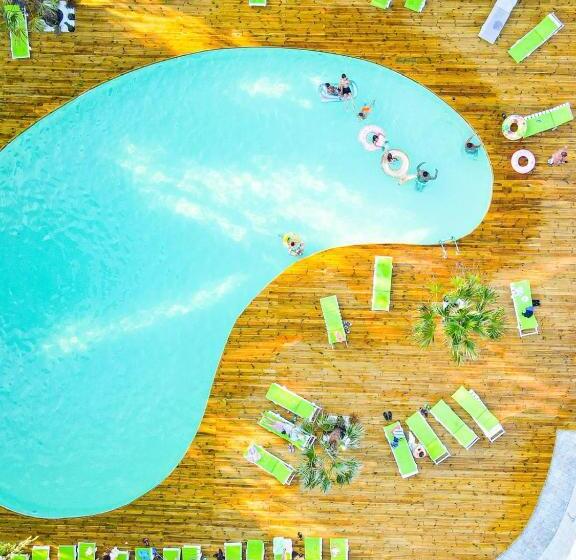 스탠다드 룸, Mojo Resort