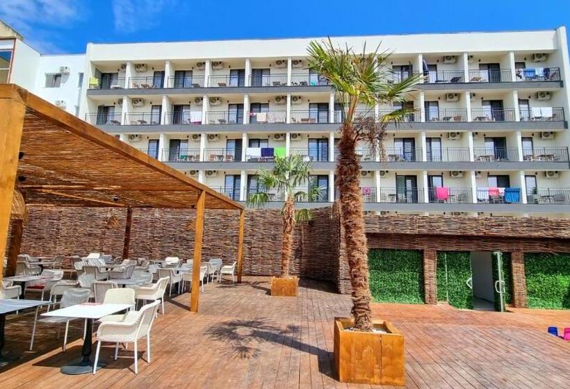 اتاق سوپریور, Mojo Resort