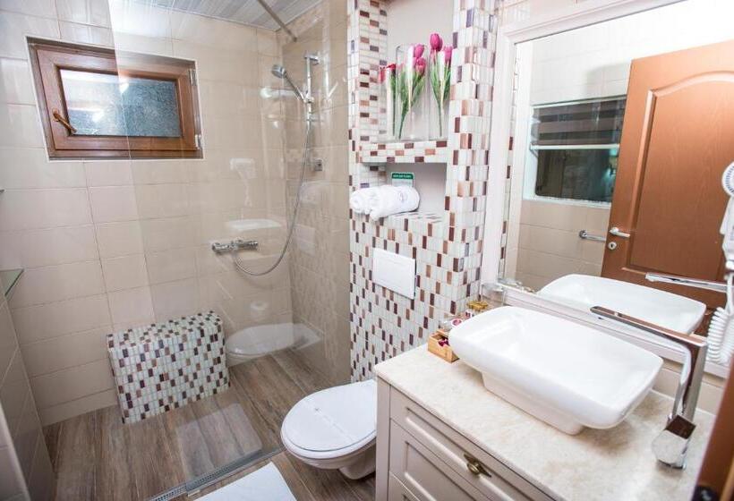 Superior room with lake view, Vila Bisera