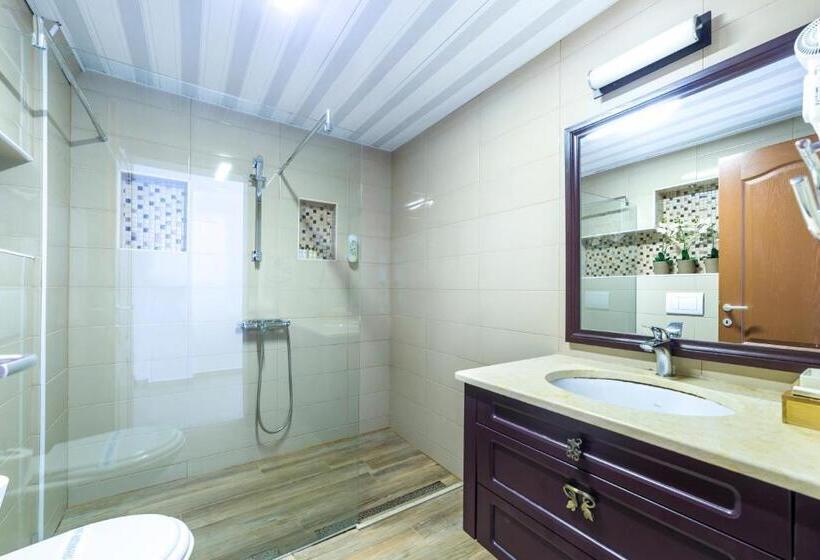 آپارتمان دلوکس 3 خوابه, Vila Bisera