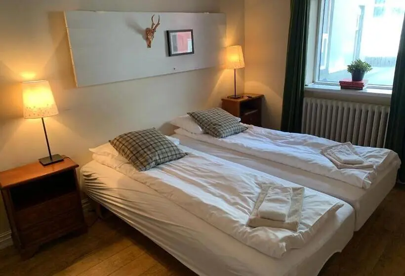 اتاق استاندارد با سرویس بهداشتی مشترک, Downtown Guesthouse Reykjavik
