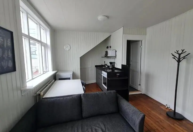 استودیوی استاندارد, Downtown Guesthouse Reykjavik