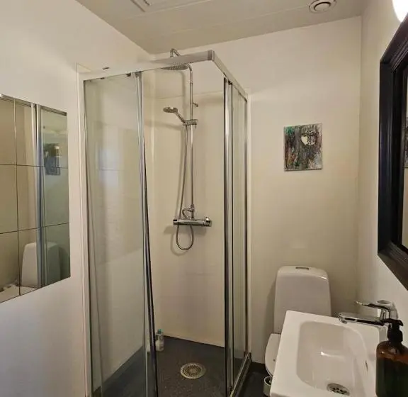 استودیو خانوادگی, Downtown Guesthouse Reykjavik
