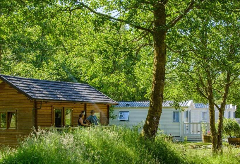 Номер Стандарт, Heart Of Glencoe Holidays
