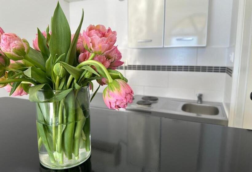 استودیوی استاندارد, Accommodation Tomcuk