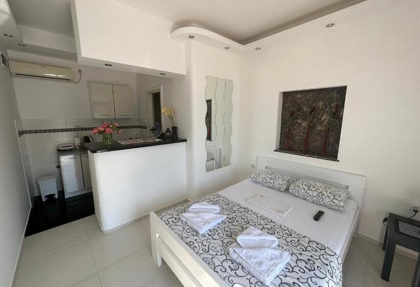 استودیوی استاندارد, Accommodation Tomcuk