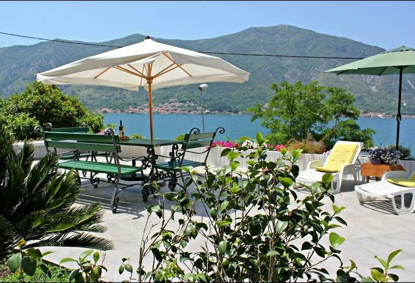 آپارتمان 1 خوابه با تراس, Accommodation Tomcuk