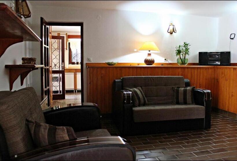 آپارتمان 1 خوابه با تراس, Accommodation Tomcuk