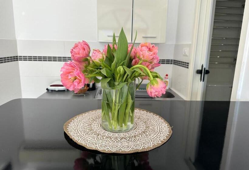 استودیوی استاندارد, Accommodation Tomcuk