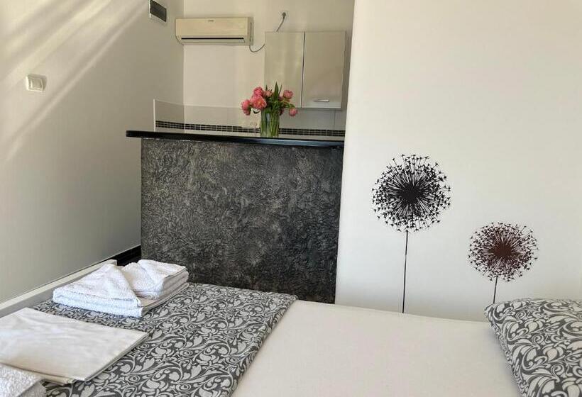 استودیوی استاندارد, Accommodation Tomcuk