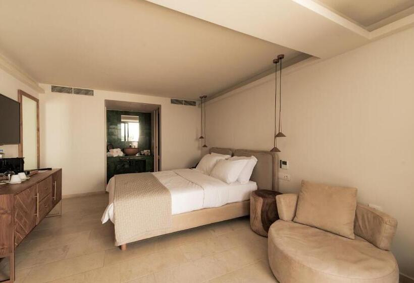 Номен Superior с Гидромассажем, Asty Mykonos Hotel & Spa   World Of One Hotel Group
