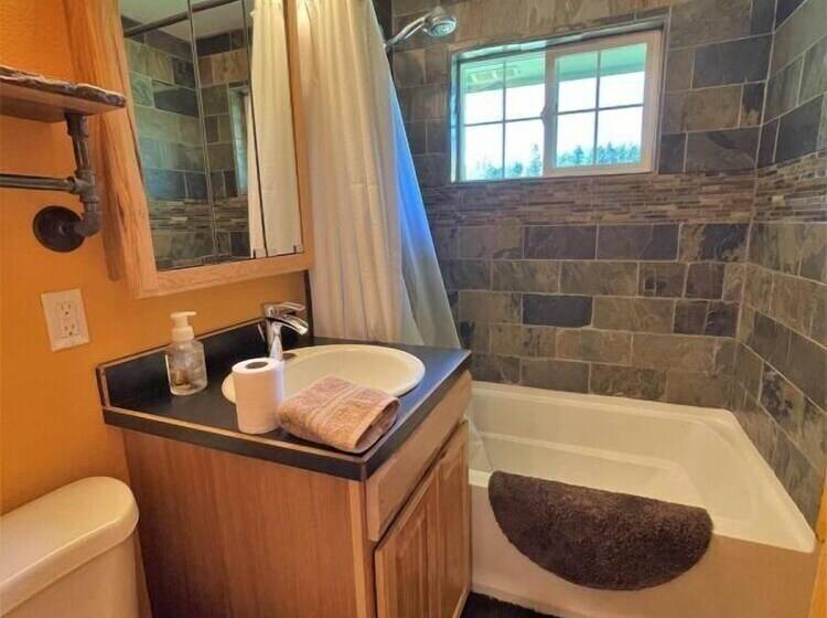 Хижина, Mountain View