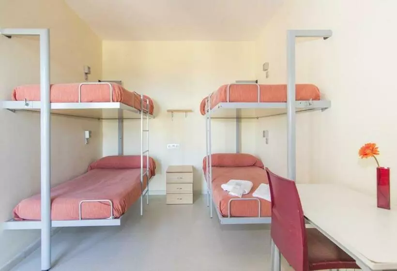 اتاق استاندارد چهار تخته, Albergue Inturjoven Algeciras Tarifa   Hostel