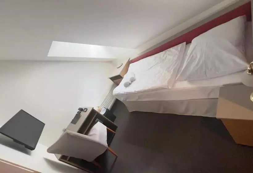Habitación Estàndard Individual, Payer