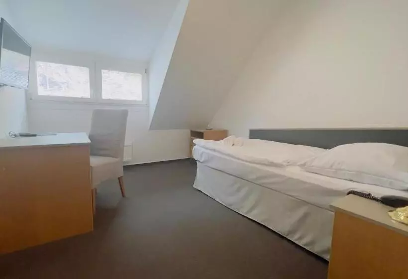 Habitación Estàndard Individual, Payer