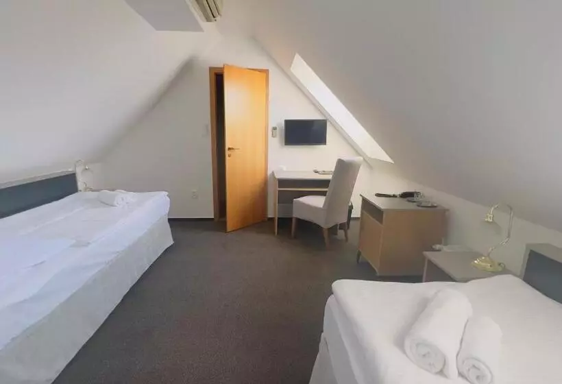 Habitació Estàndard, Payer